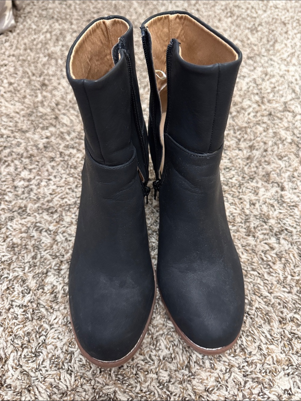 Dolce Vita Black Ankle Booties with Brown Trim